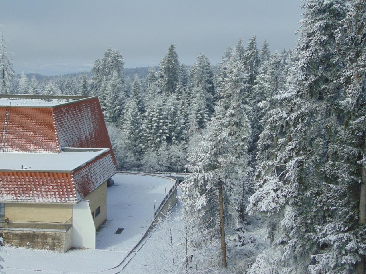 Ski Apartment Boyika Iglika 2 Borovec Kültér fotó