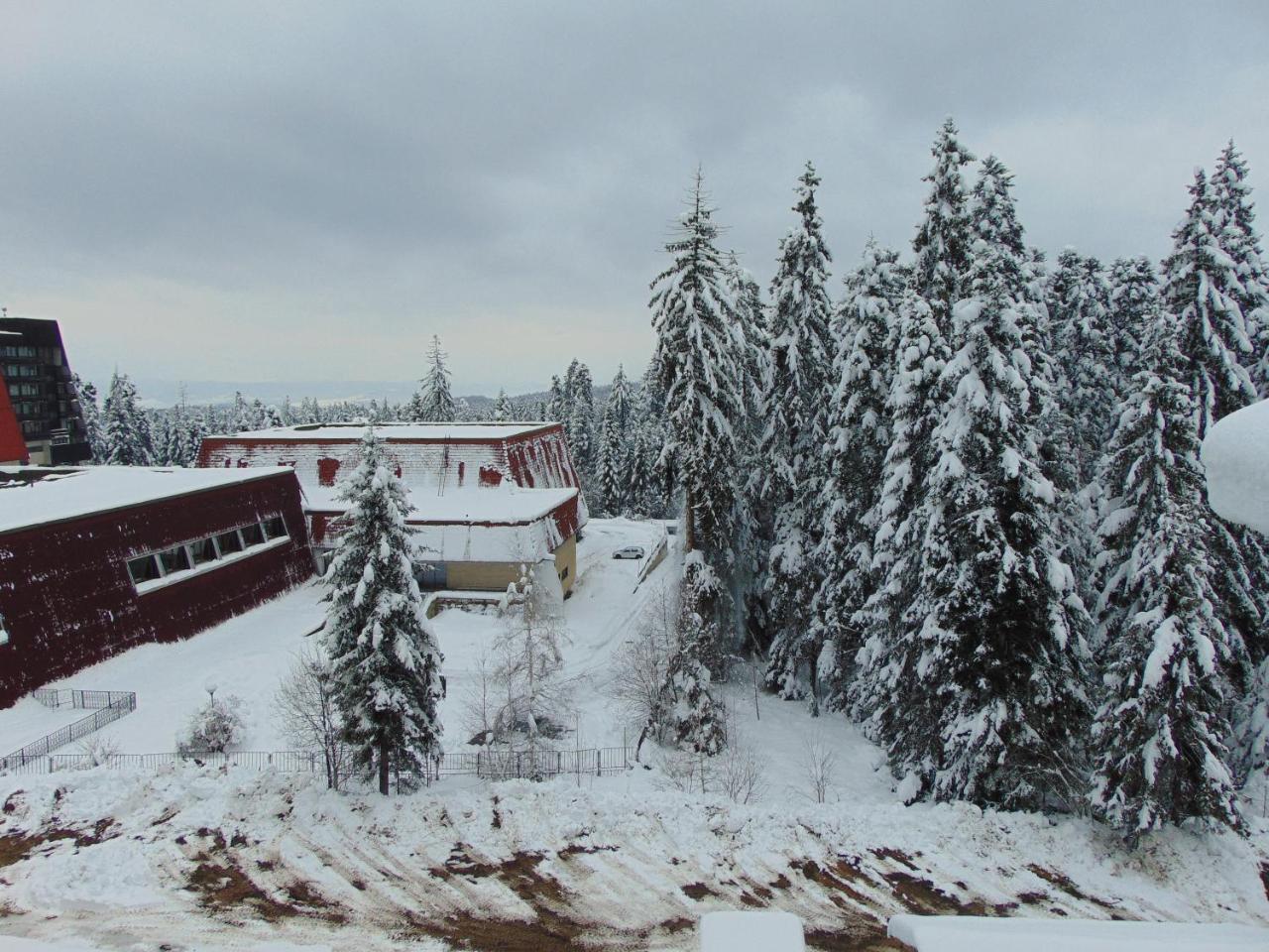 Ski Apartment Boyika Iglika 2 Borovec Kültér fotó